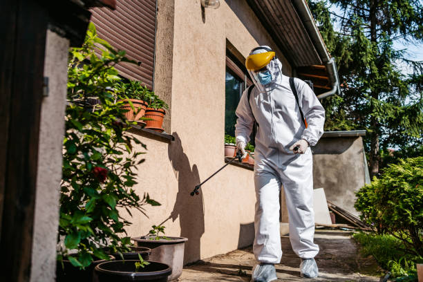 Best Spider Control Near Me  in Marlton, MD
