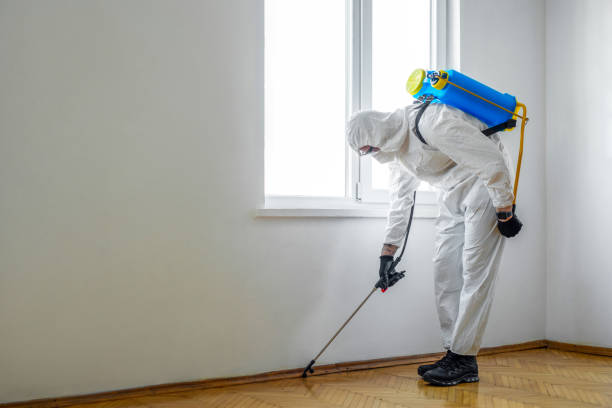 Best Affordable Pest Control Services  in Marlton, MD