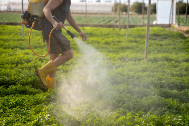 Best Best Pest Control Companies  in Marlton, MD
