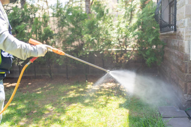 Spider Control Near Me in Marlton, MD