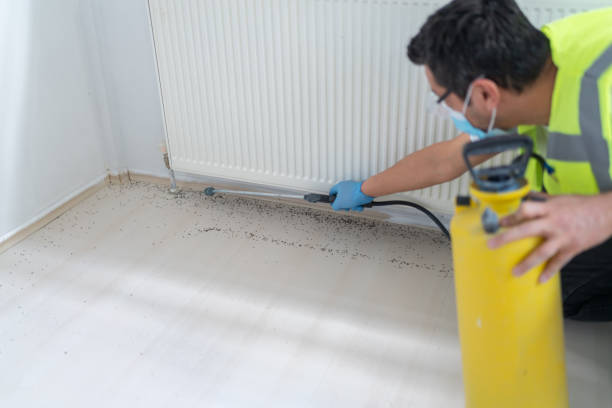Best Emergency Pest Control  in Marlton, MD