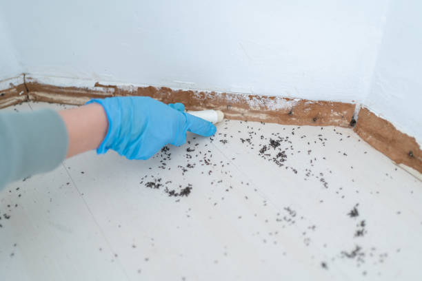 Best Pest Removal Services  in Marlton, MD