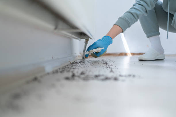 Best Flea Control Services  in Marlton, MD