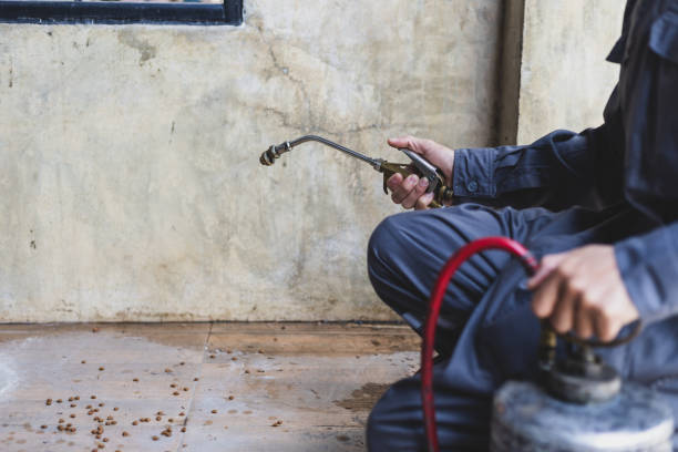 Best Wasp Removal Services  in Marlton, MD